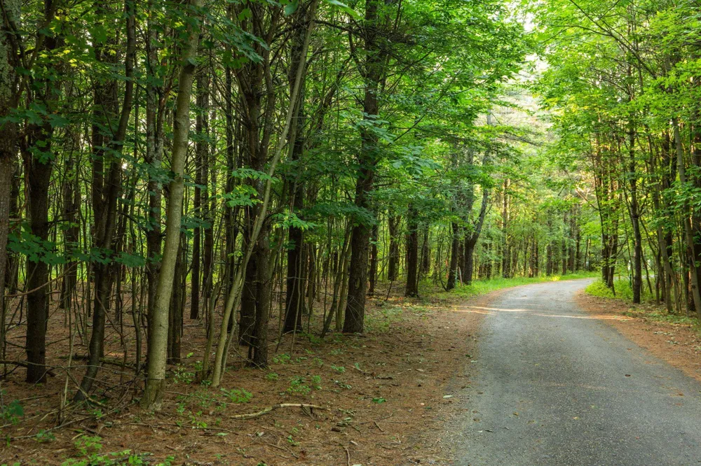 Vincer Way Leelanau Township, MI 49670
