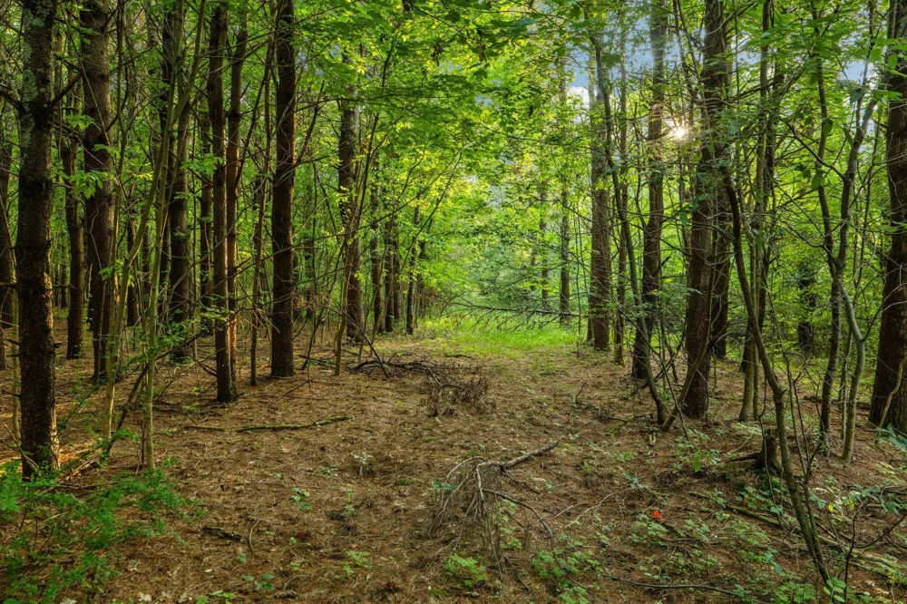 Vincer Way Leelanau Township, MI 49670