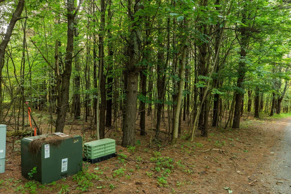 Vincer Way Leelanau Township, MI 49670