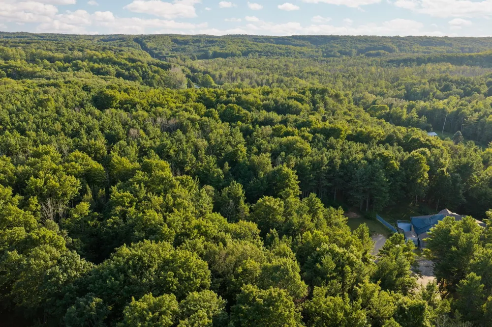 Vincer Way Leelanau Township, MI 49670