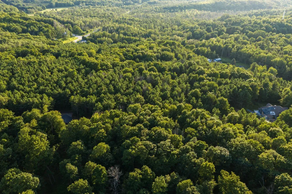 Vincer Way Leelanau Township, MI 49670