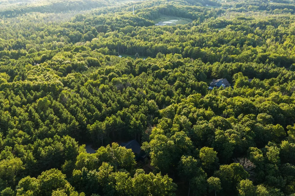 Vincer Way Leelanau Township, MI 49670