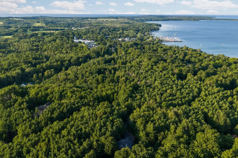 Vincer Way Leelanau Township, MI 49670