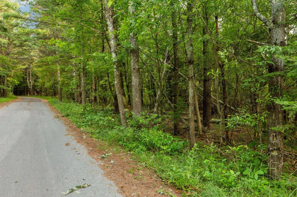 Vincer Way Leelanau Township, MI 49670