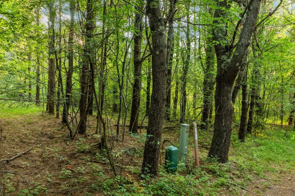 Vincer Way Leelanau Township, MI 49670