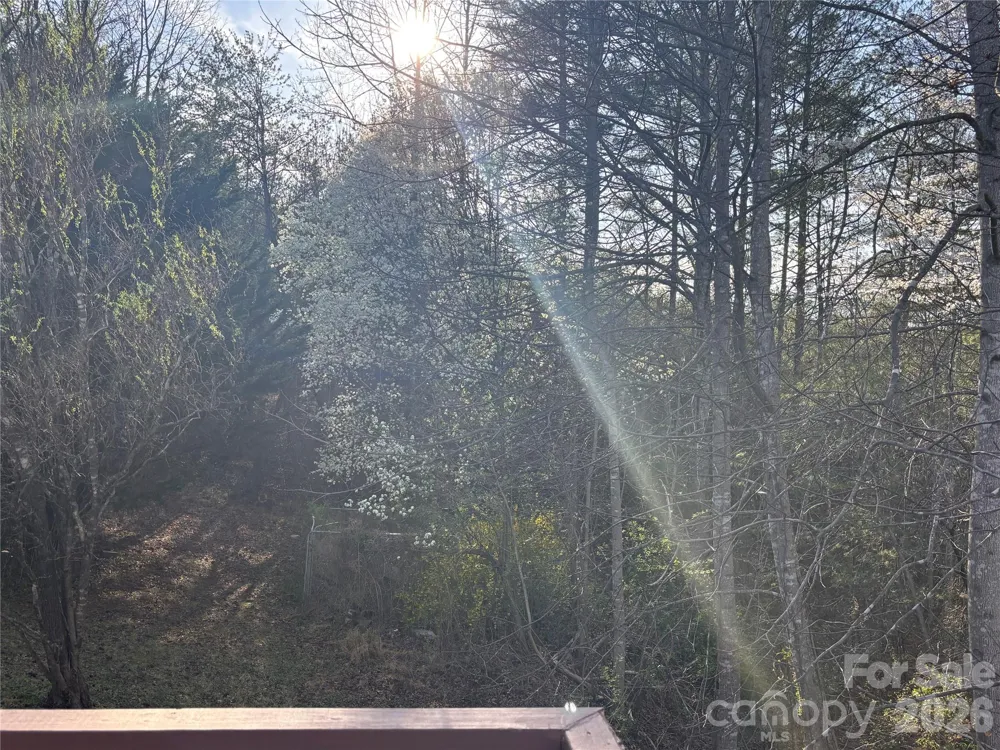 5164 Ralph Winchester Road Lenoir, NC 28645