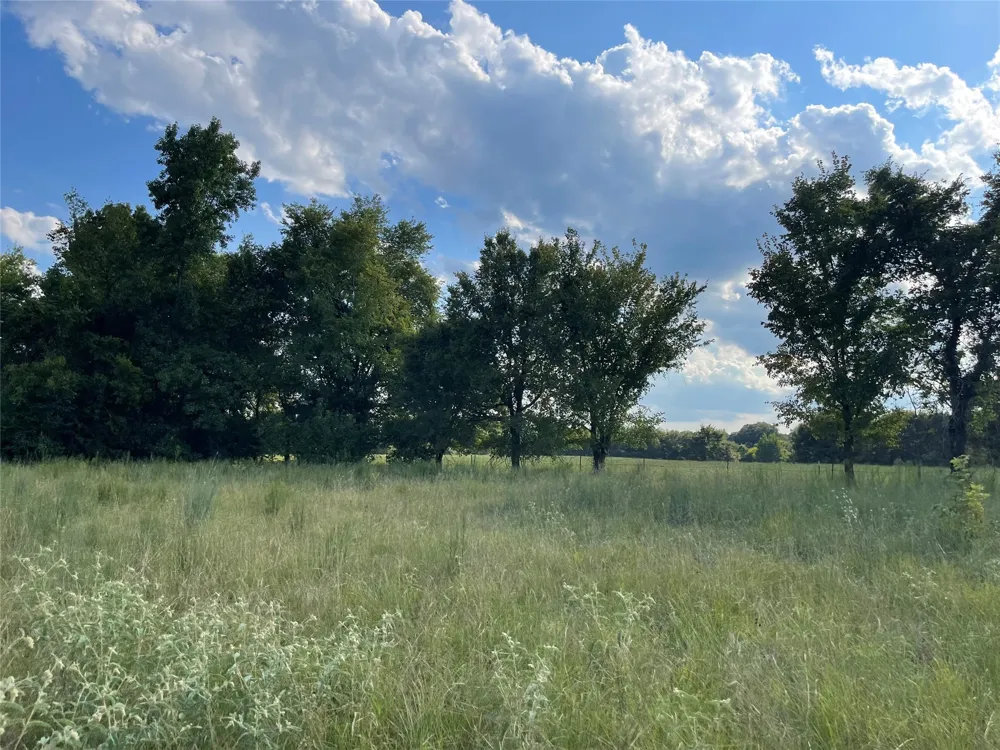 Rs County Road 3425 Emory, TX 75440