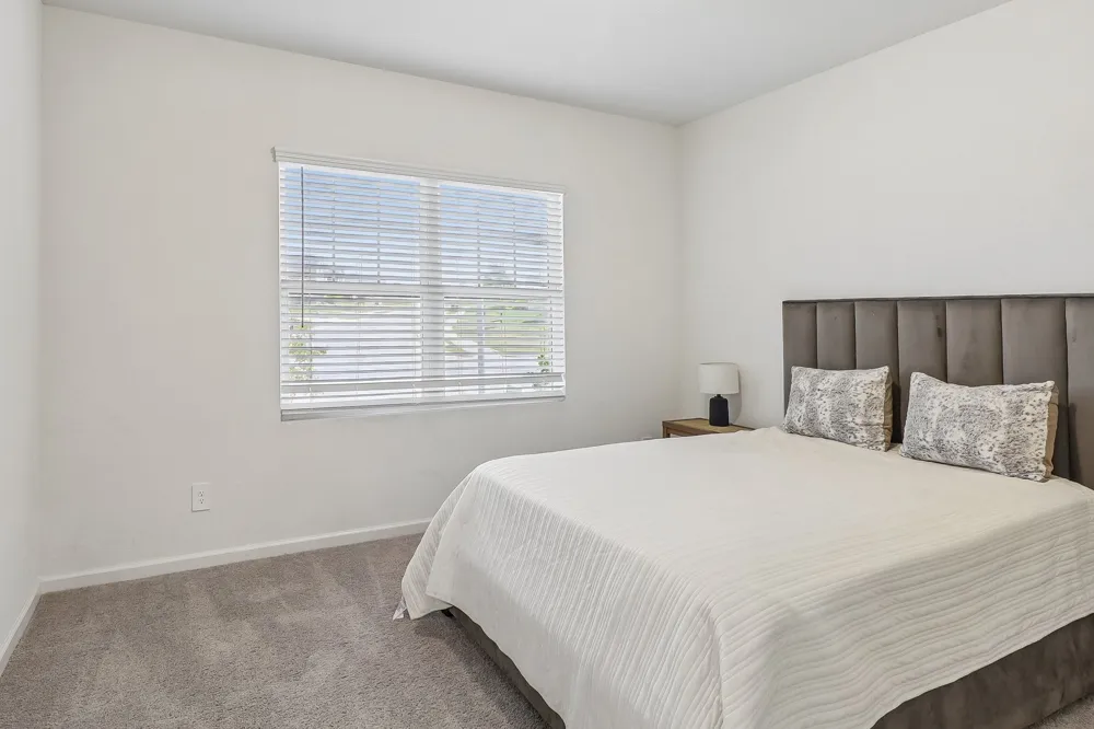 2573 Cinnamon Springs Road Glenn Heights, TX 75154