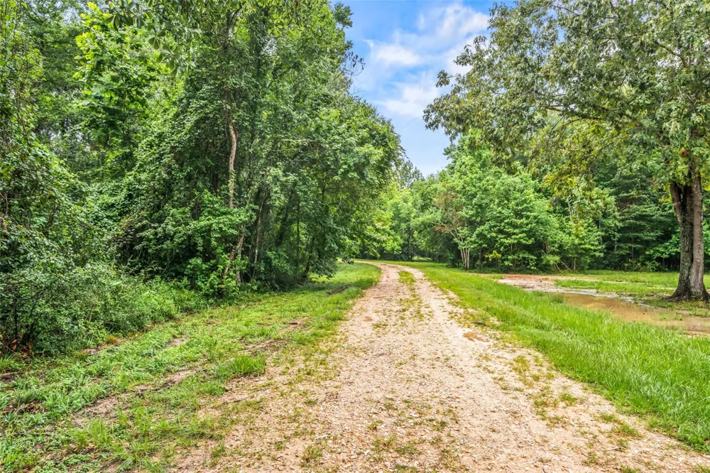 3270 County Road 2285 Cleveland, TX 77327