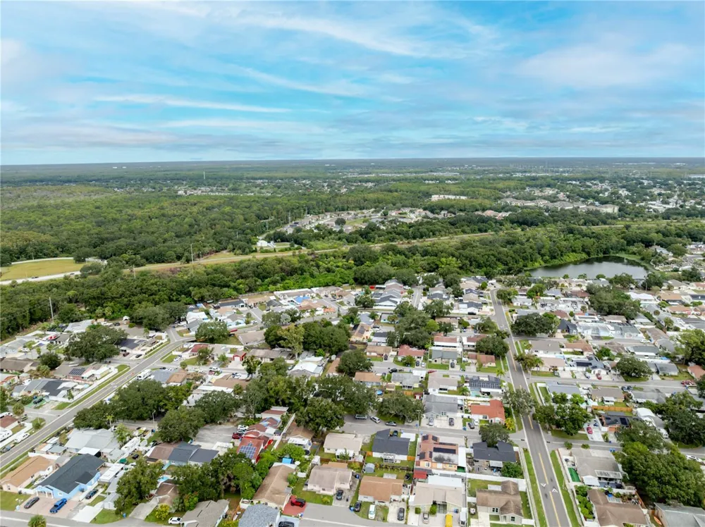 10118 HUNTERS POINT COURT Tampa, FL 33615