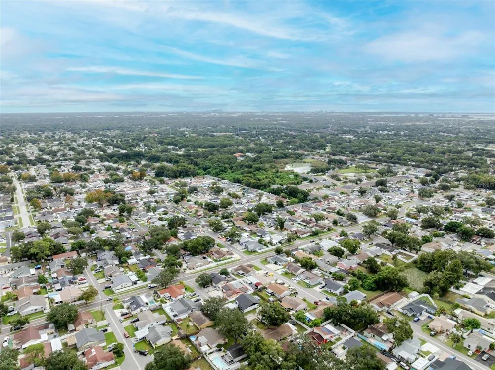 10118 HUNTERS POINT COURT Tampa, FL 33615