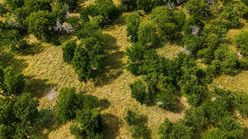 274 Ridgeline Drive Chico, TX 76431
