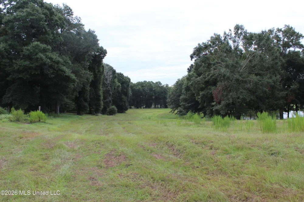 14.8 Acres Country Oak Circle Lucedale, MS 39452