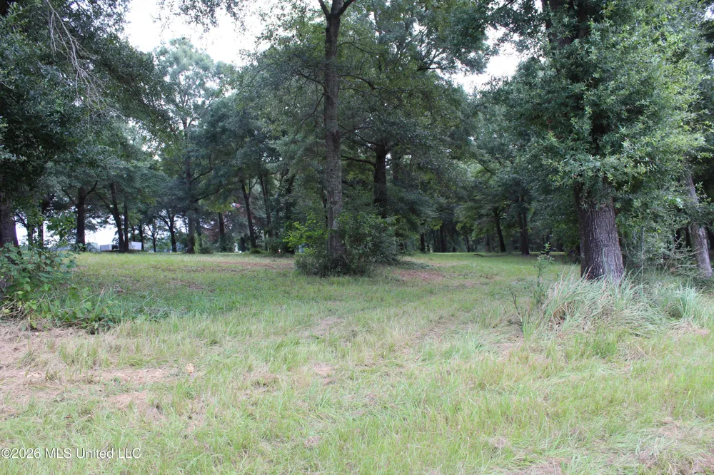 14.8 Acres Country Oak Circle Lucedale, MS 39452