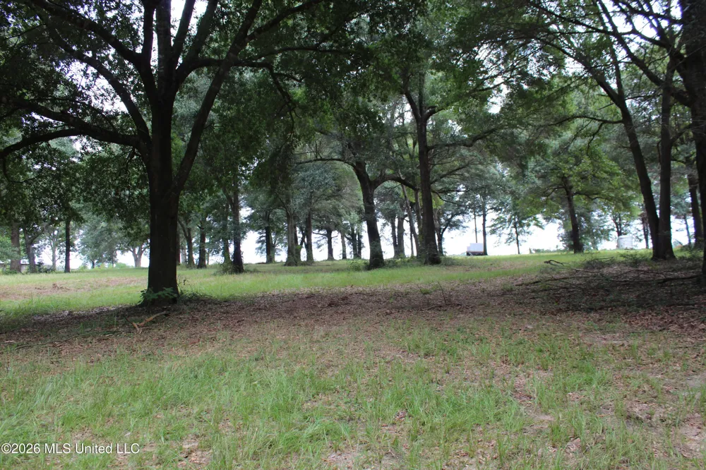 14.8 Acres Country Oak Circle Lucedale, MS 39452