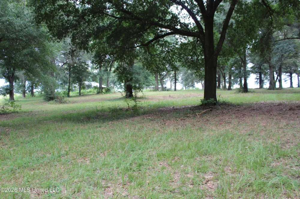 14.8 Acres Country Oak Circle Lucedale, MS 39452