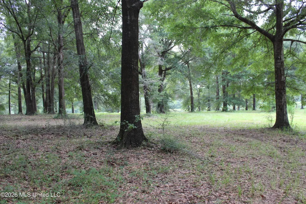 14.8 Acres Country Oak Circle Lucedale, MS 39452