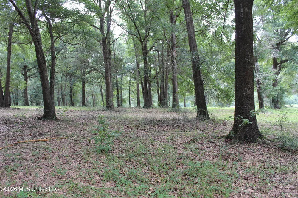 14.8 Acres Country Oak Circle Lucedale, MS 39452