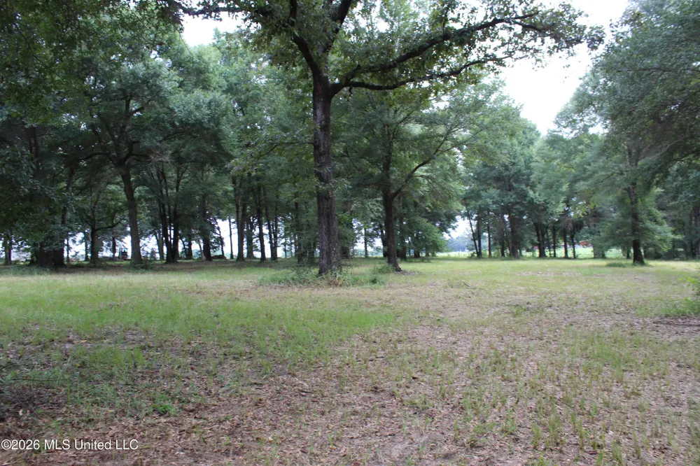 14.8 Acres Country Oak Circle Lucedale, MS 39452