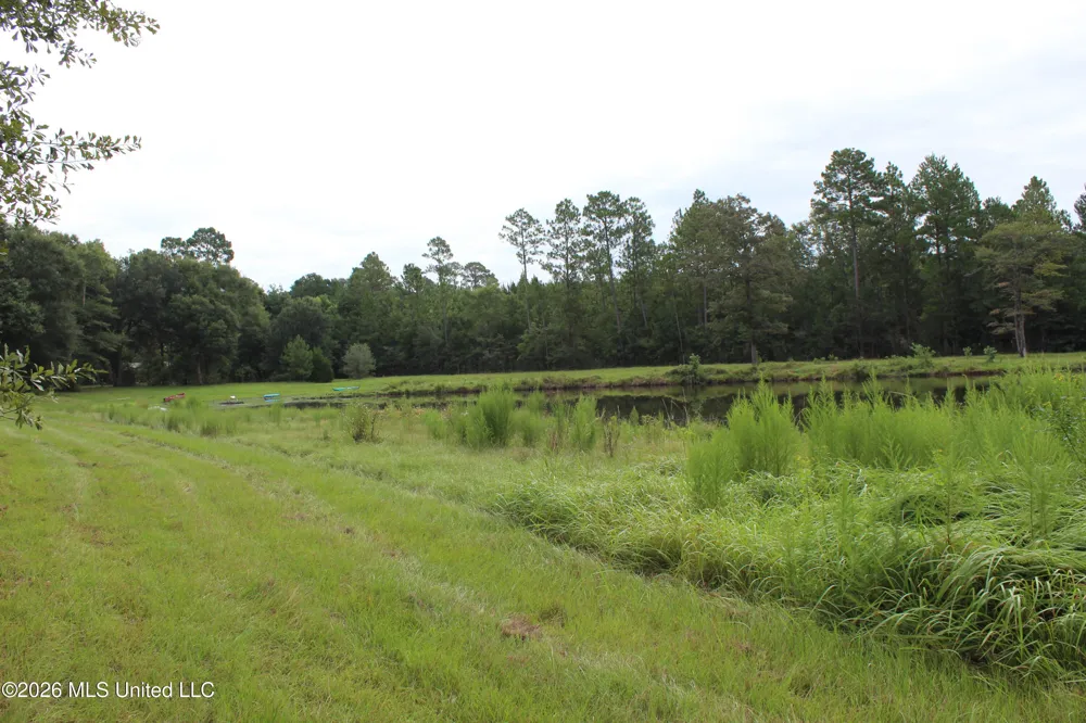 14.8 Acres Country Oak Circle Lucedale, MS 39452