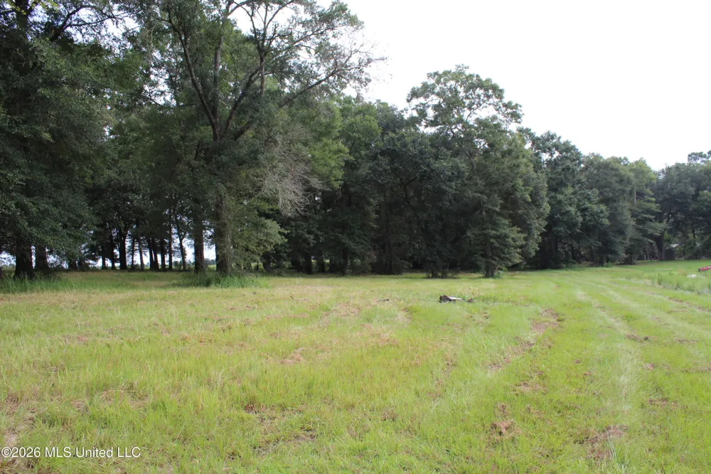 14.8 Acres Country Oak Circle Lucedale, MS 39452