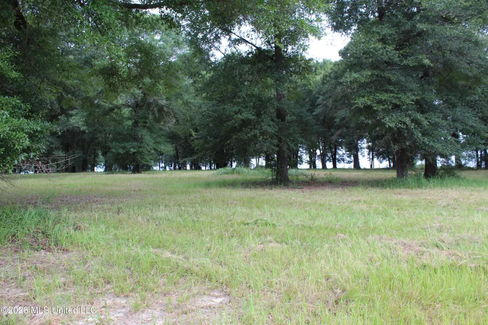14.8 Acres Country Oak Circle Lucedale, MS 39452
