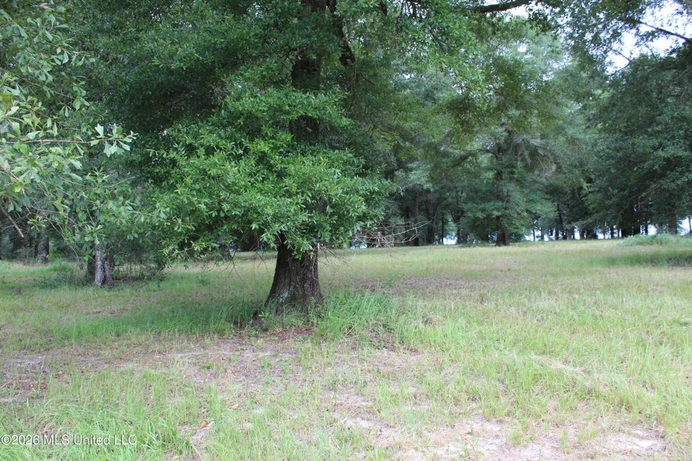 14.8 Acres Country Oak Circle Lucedale, MS 39452