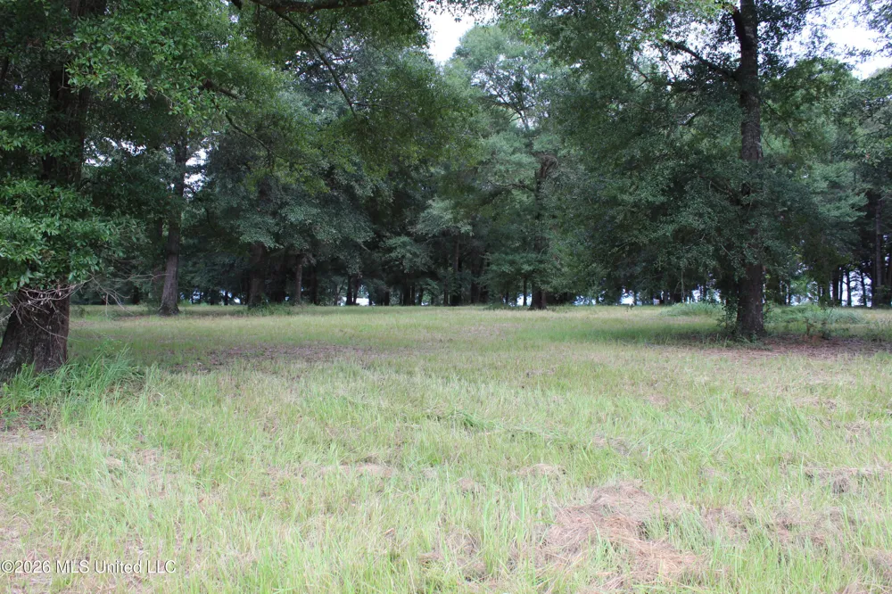 14.8 Acres Country Oak Circle Lucedale, MS 39452