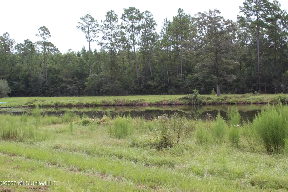 14.8 Acres Country Oak Circle Lucedale, MS 39452