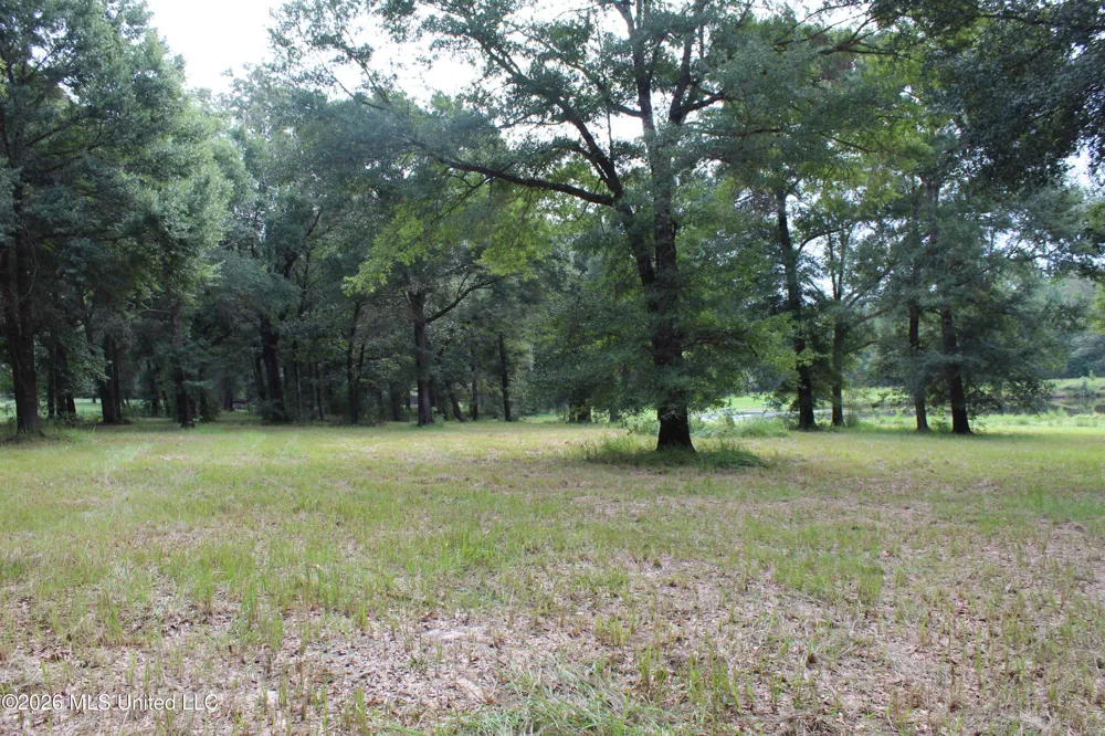 14.8 Acres Country Oak Circle Lucedale, MS 39452