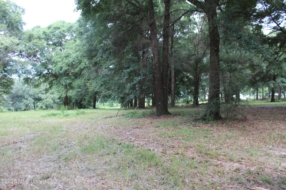 14.8 Acres Country Oak Circle Lucedale, MS 39452