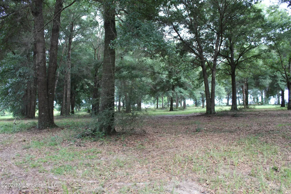 14.8 Acres Country Oak Circle Lucedale, MS 39452