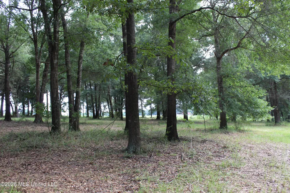 14.8 Acres Country Oak Circle Lucedale, MS 39452