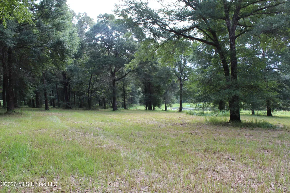 14.8 Acres Country Oak Circle Lucedale, MS 39452