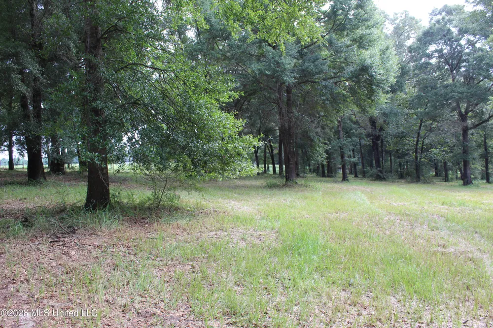 14.8 Acres Country Oak Circle Lucedale, MS 39452
