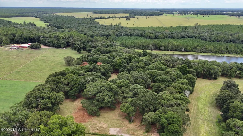 14.8 Acres Country Oak Circle Lucedale, MS 39452
