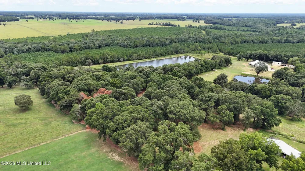 14.8 Acres Country Oak Circle Lucedale, MS 39452