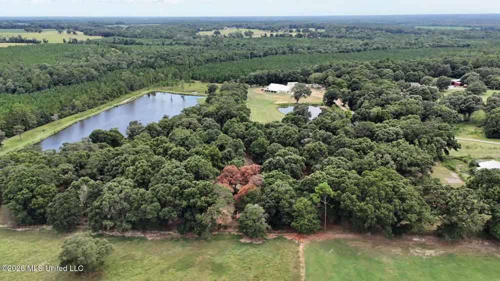 14.8 Acres Country Oak Circle Lucedale, MS 39452