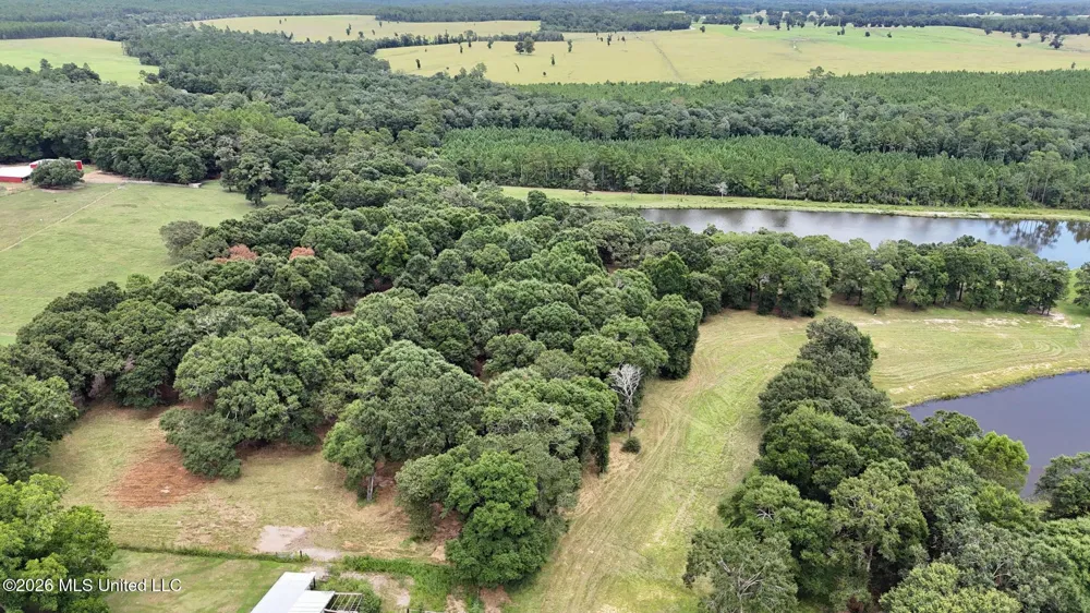 14.8 Acres Country Oak Circle Lucedale, MS 39452