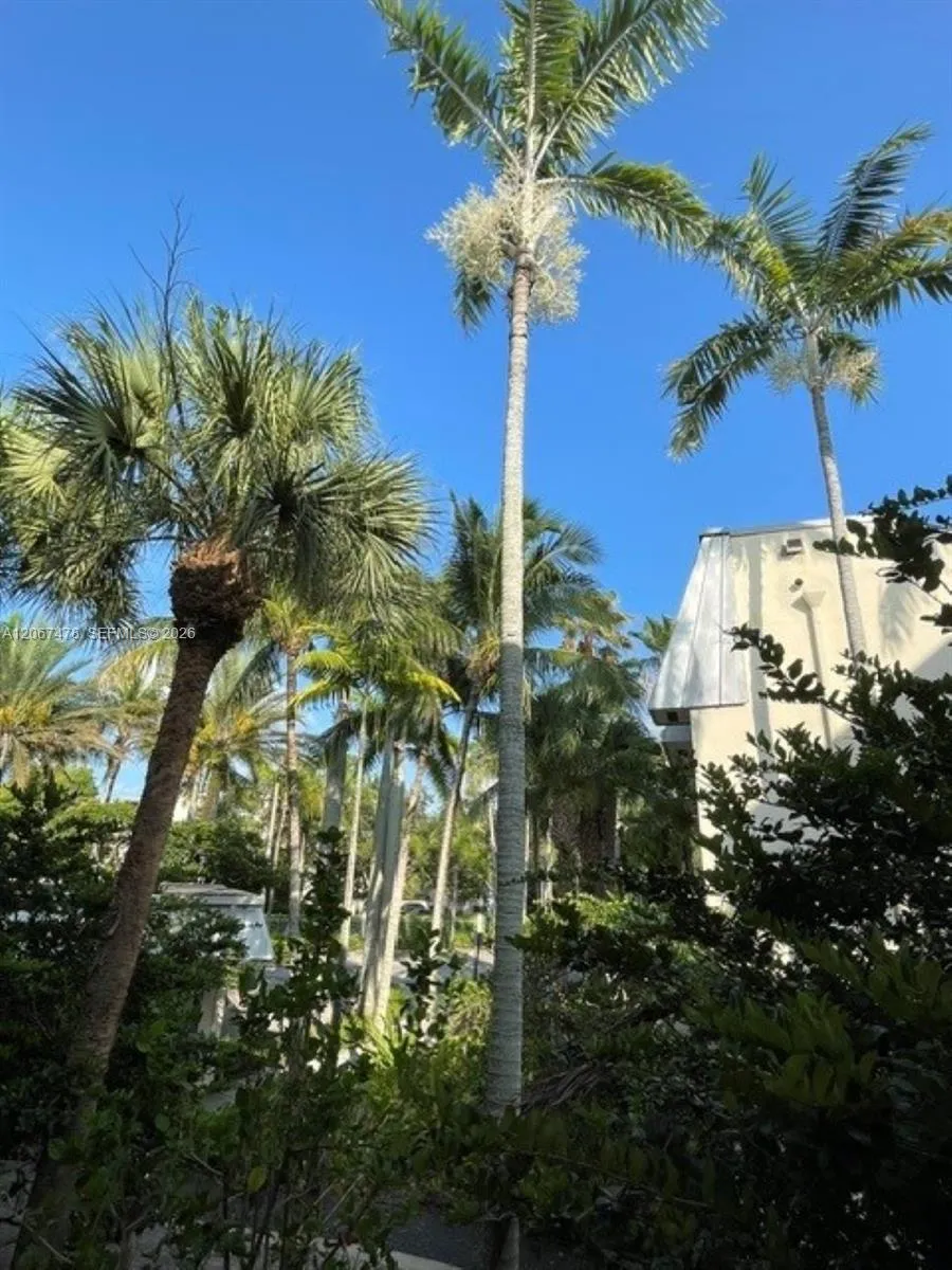8950 SW 69th Ct #216 Pinecrest, FL 33156