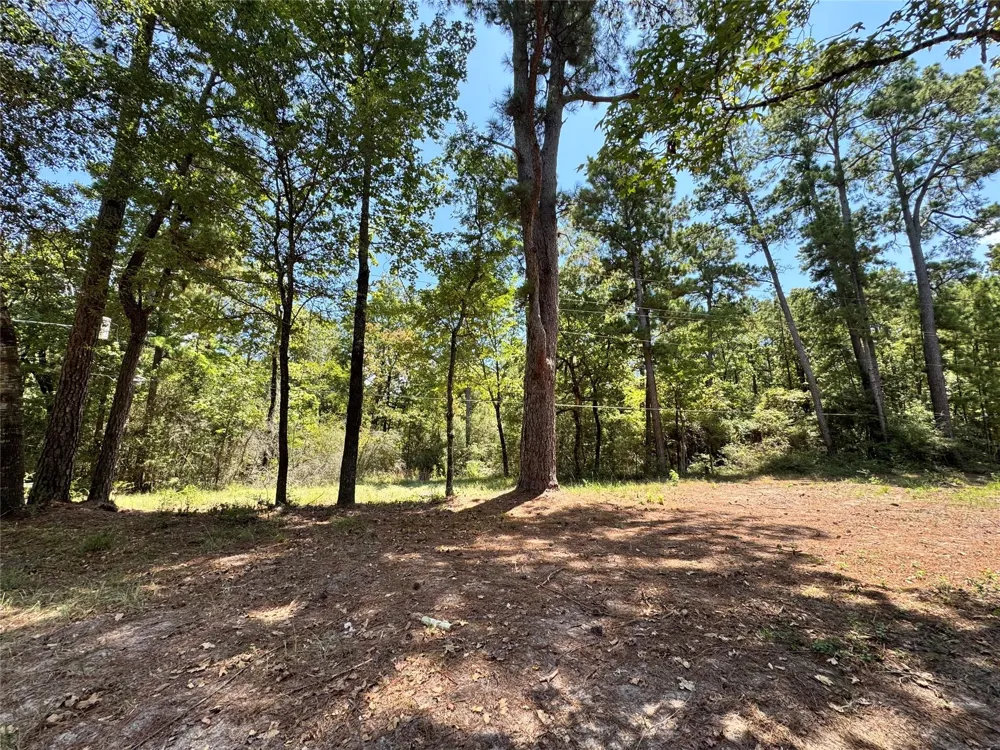 13 Sparrow Trinity, TX 75862