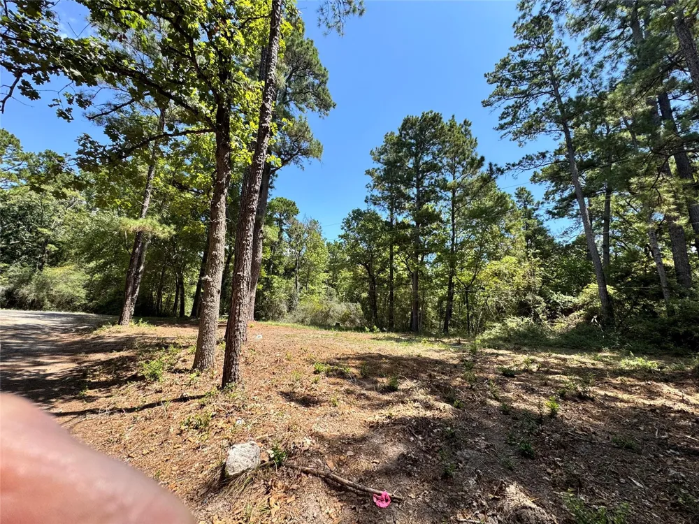 13 Sparrow Trinity, TX 75862