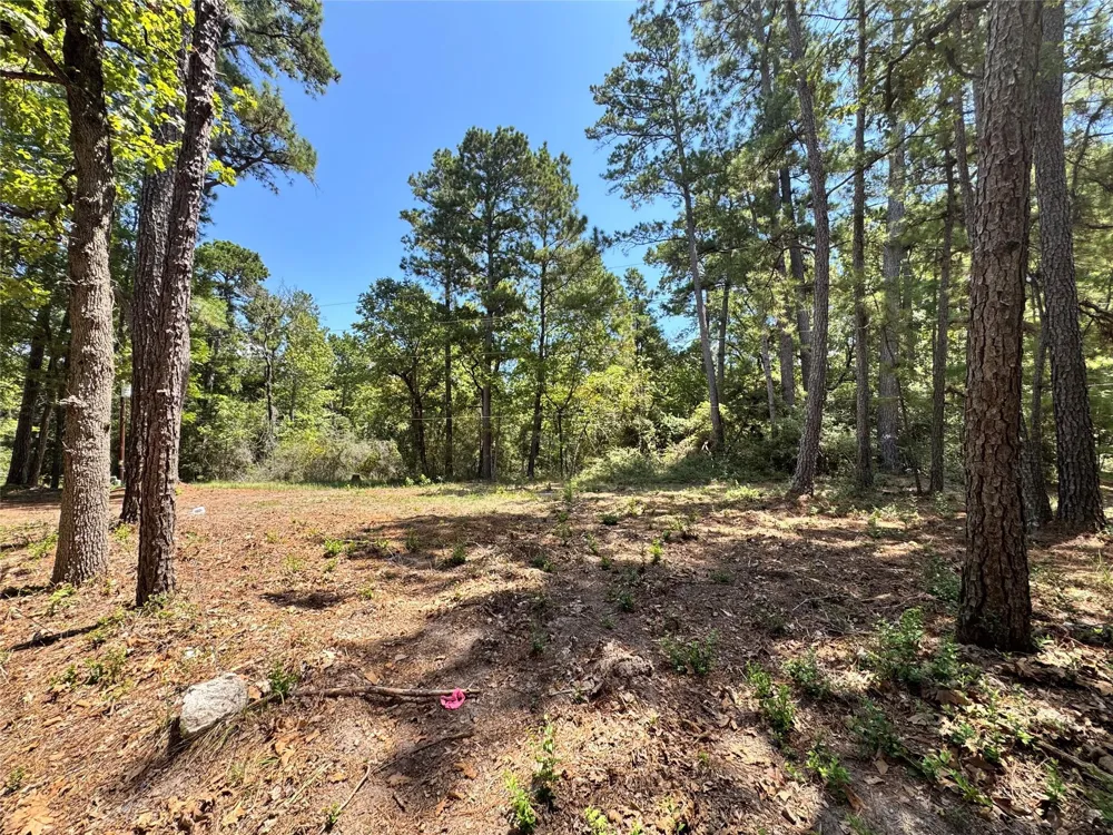 13 Sparrow Trinity, TX 75862