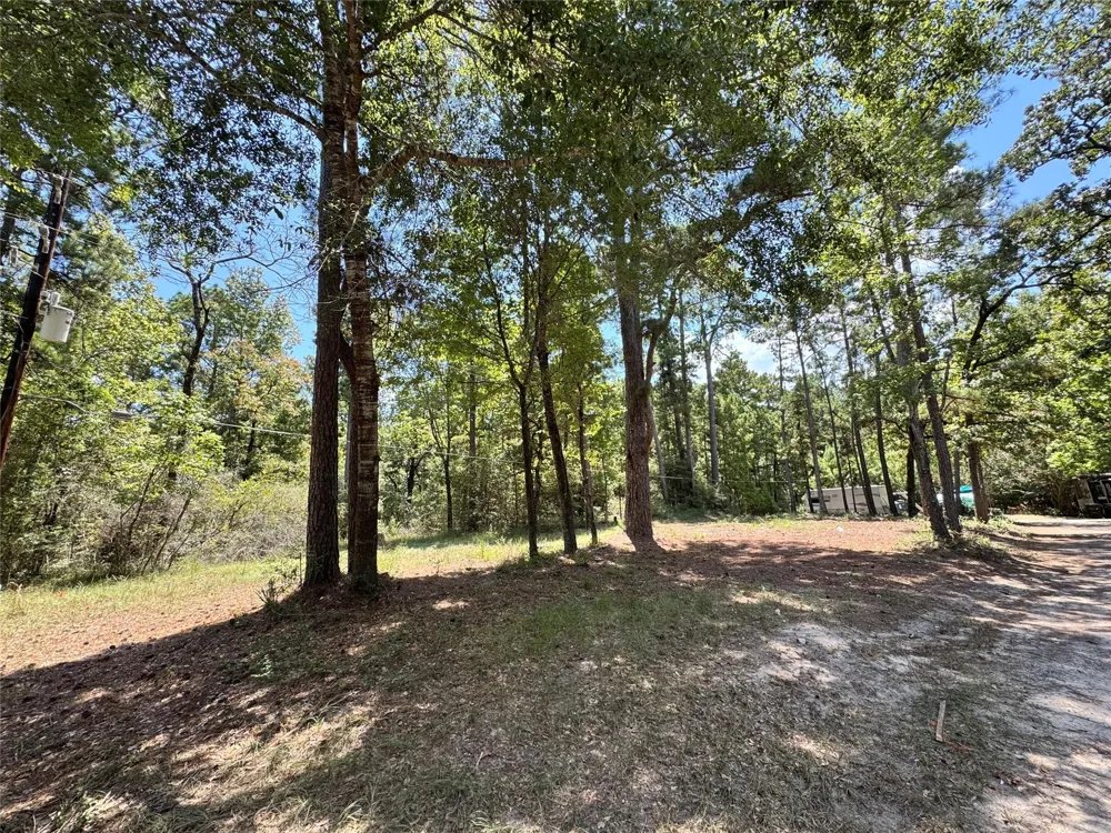 13 Sparrow Trinity, TX 75862