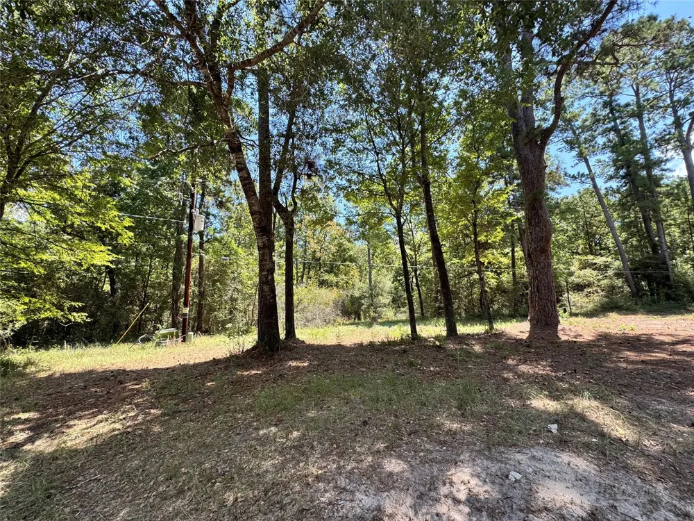 13 Sparrow Trinity, TX 75862