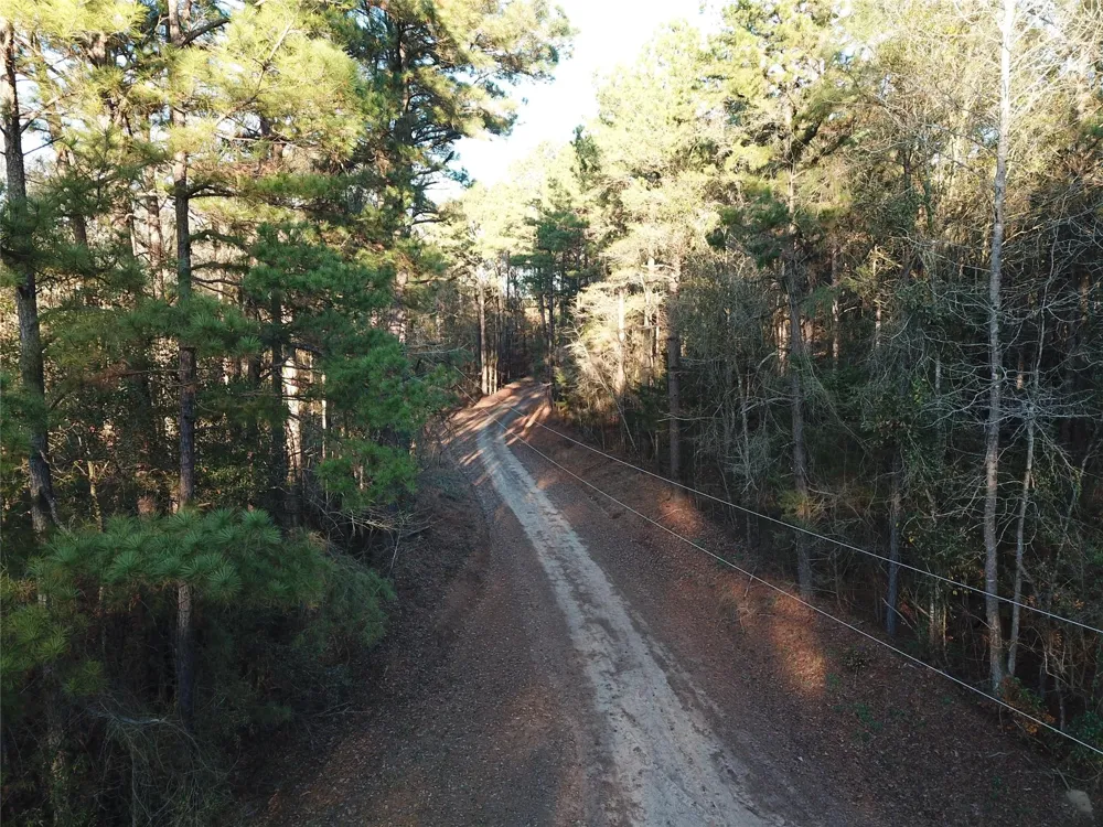 County Road 405 San Augustine, TX 75972