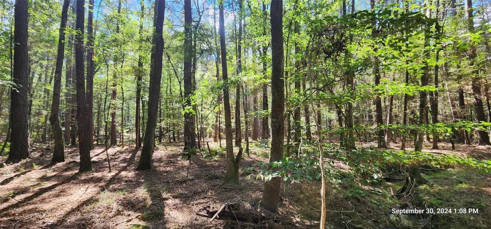 County Road 405 San Augustine, TX 75972