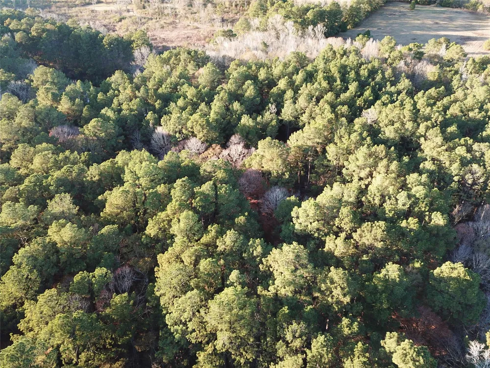 County Road 405 San Augustine, TX 75972