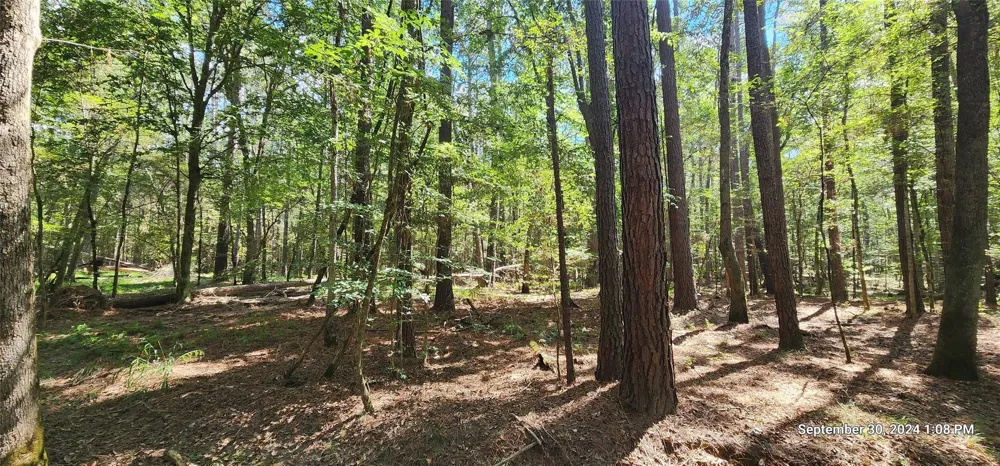 County Road 405 San Augustine, TX 75972