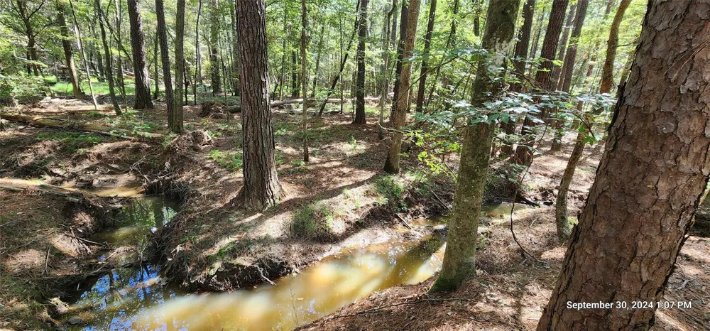 County Road 405 San Augustine, TX 75972